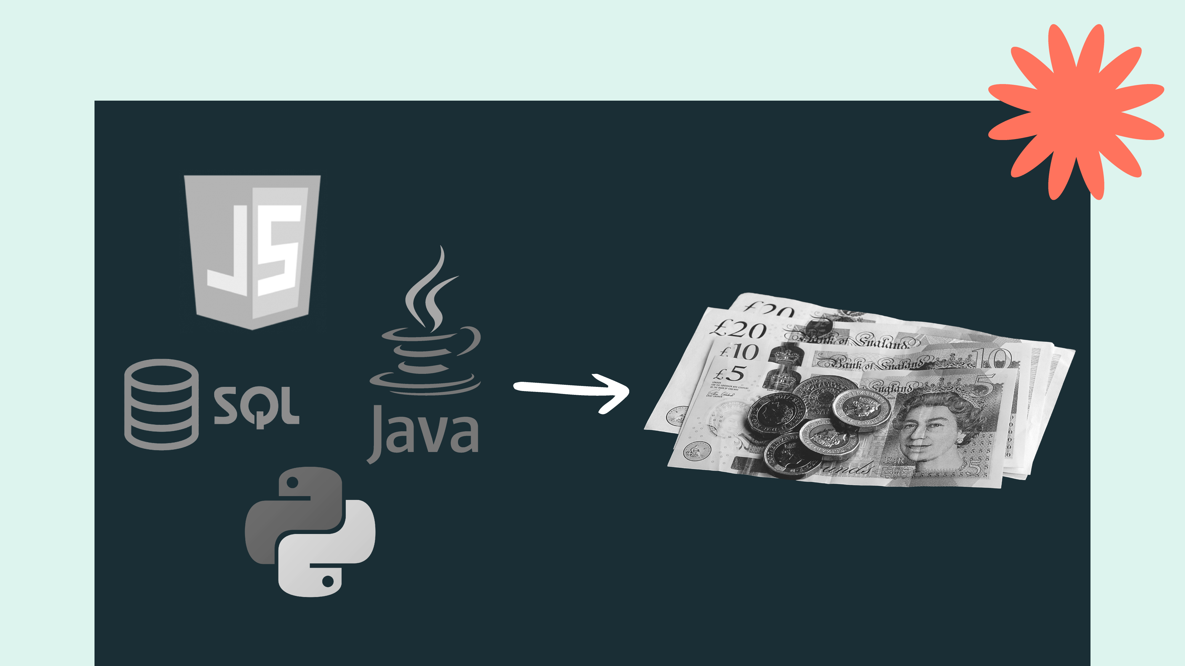 Programming languages being transformed into cash